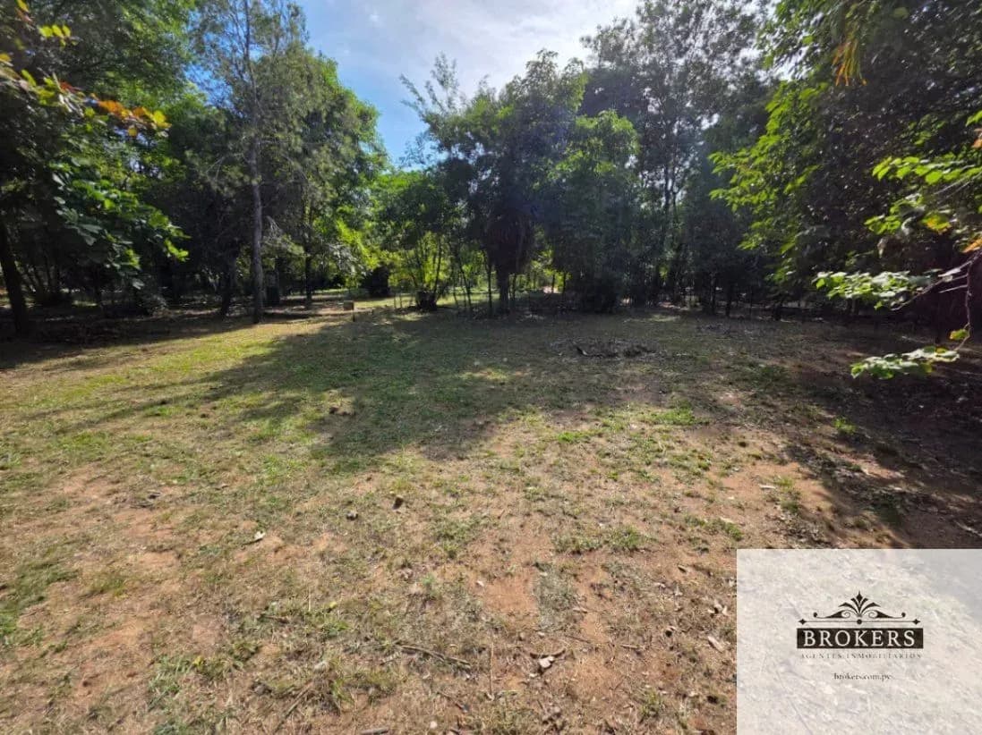 Terreno de 3,200m² en Venta en Limpio - Image 3