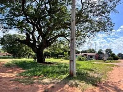 398.47m² Land for Sale in Tercer Barrio, Luque - Image 3
