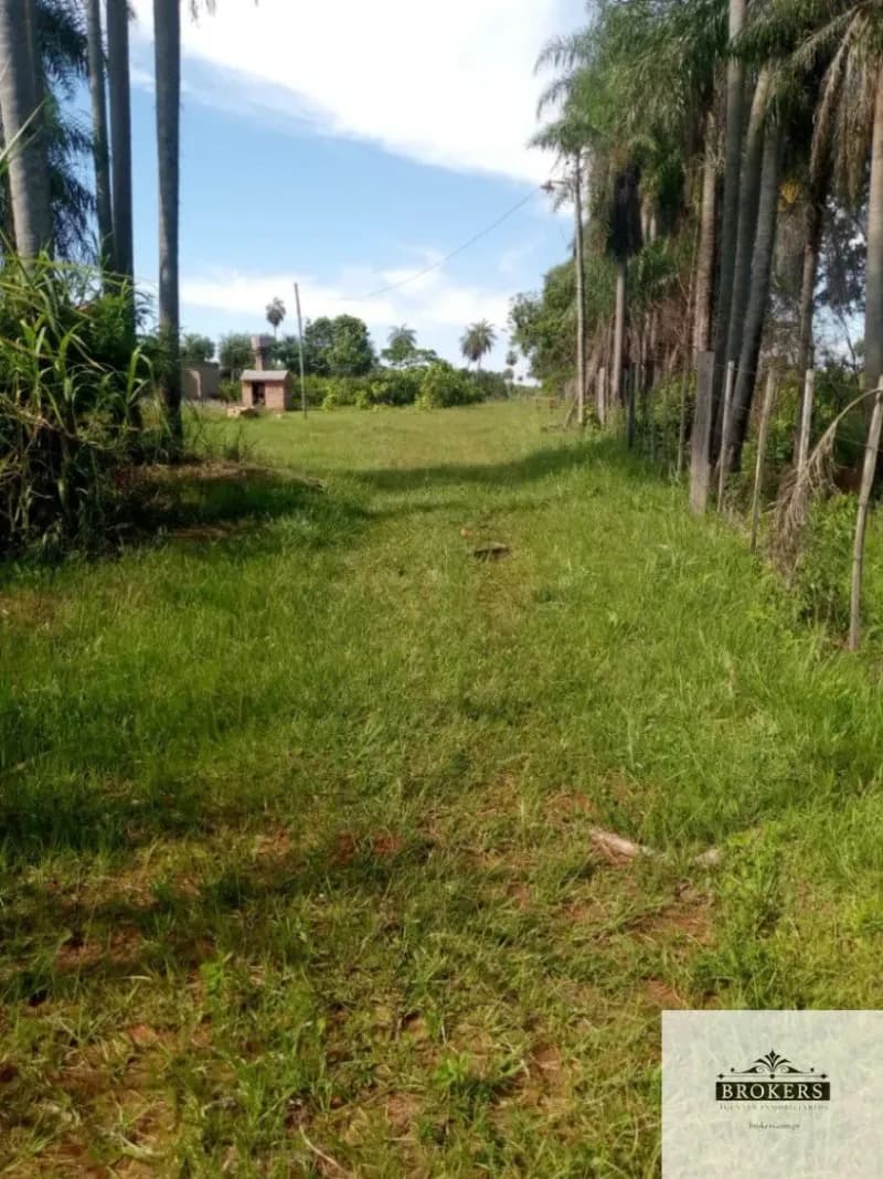 100,000m² Land for Sale in Ypacaraí - Image 2
