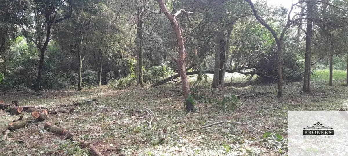 1,600m² Land for Sale in Villa Ygatimí, Villa Ygatimí