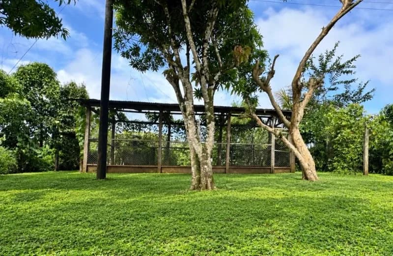 Casa de 2 dormitorios en Alejandro Ramos Turcio, 265m², en Venta en Barrio Mauricio Altamirano, Jinotega - Image 4