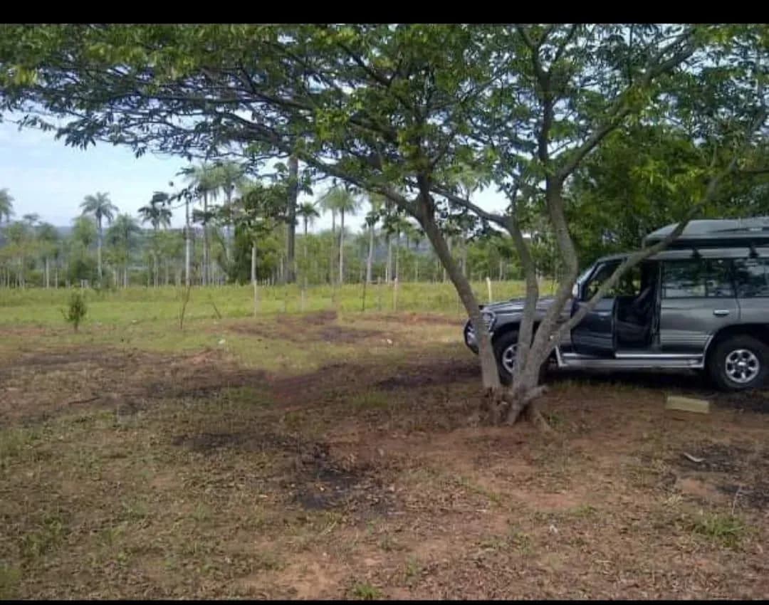 Terreno de 2,160m² en Venta en San Bernardino - Image 4