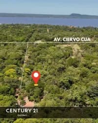 Terreno de 7.814m² à Venda em San Bernardino - Image 3