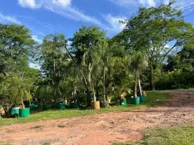 Terreno de 1,000m² en Venta en San Miguel, Areguá - Image 16