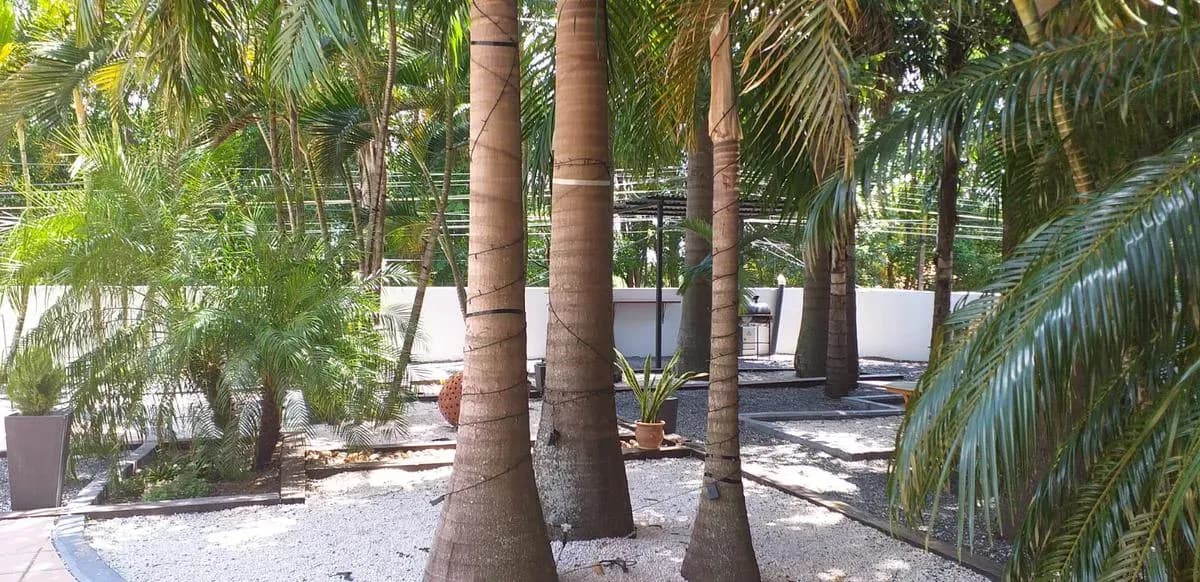 Apartamento de 3 quartos à Venda em Parques do Yatch, Lambaré - Image 10