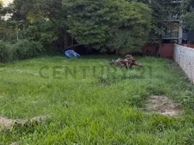Terreno de 998m² en Venta en Campo Grande, Luque - Image 2
