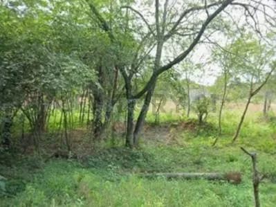 Terreno de 1,154.55m² en Venta en Marín Ka'aguy, Luque - Image 2