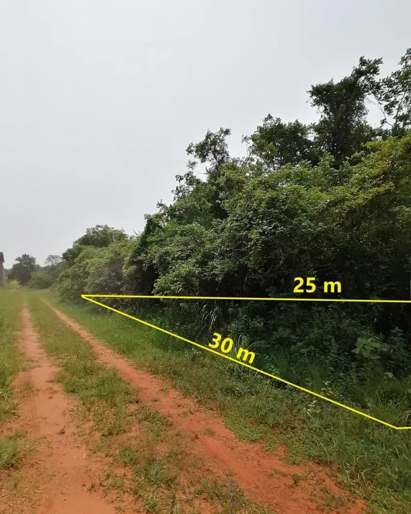 Terreno de 750m² en Venta en ALEX SA (Maquila de Motos), Luque - Image 5