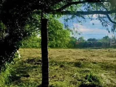 Terreno de 2,169m² à Venda em Arecayá, Mariano Roque Alonso - Image 3
