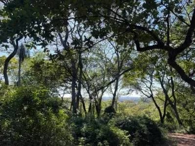 Terreno de 701.76m² en Venta en San Miguel, Areguá - Image 2