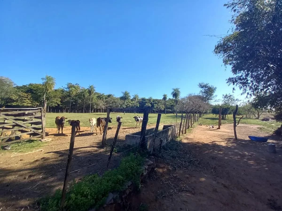 Land for Sale in Nueva Italia - Image 15
