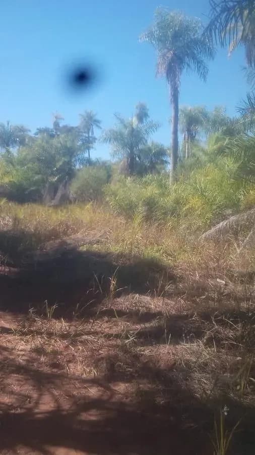 Terreno de 10,000m² en Venta en Limpio