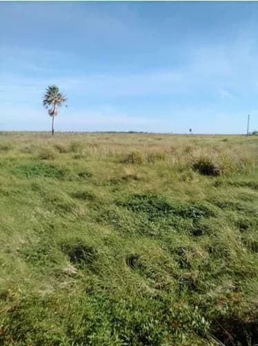 Terreno de 250.000m² en Venta en Loma Grande