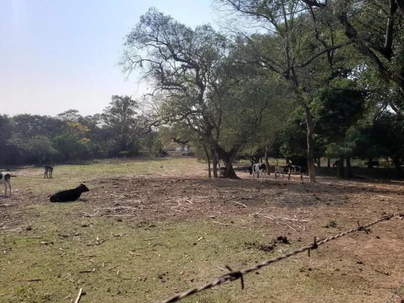 13,436m² Lot for Sale in San Lorenzo - Image 2