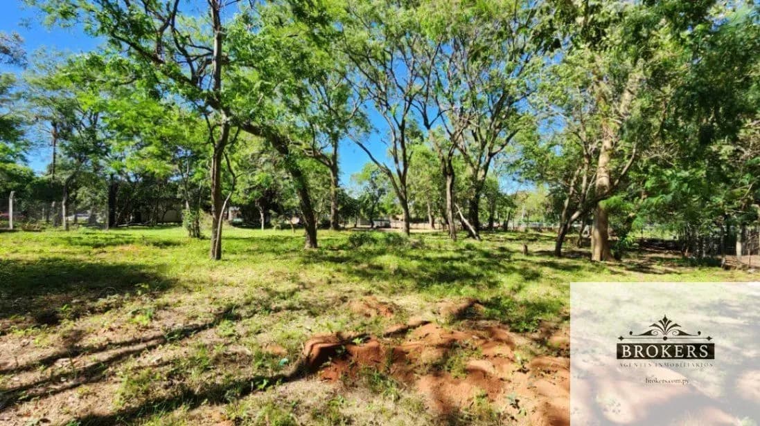 Terreno de 3,000m² en Venta en San Bernardino - Image 4