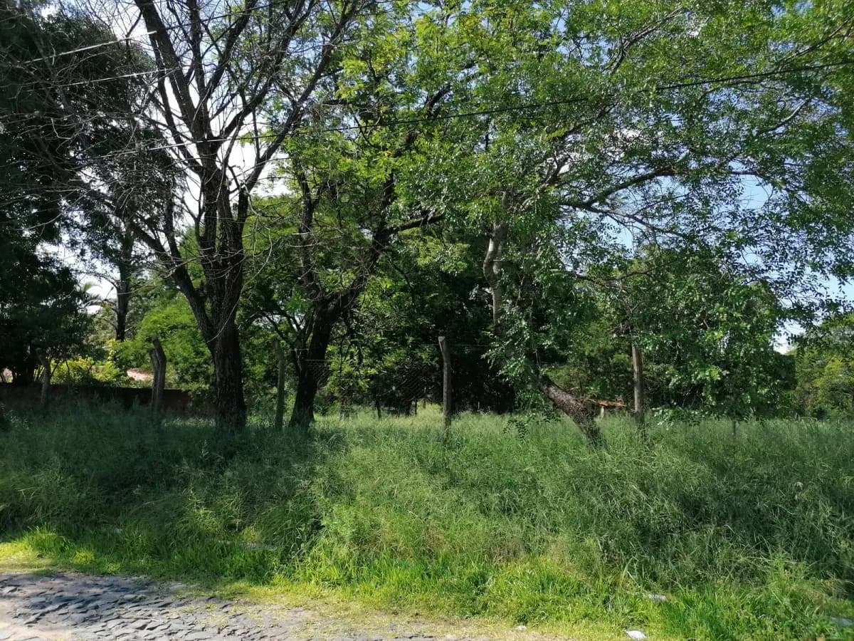 Terreno de 65m² à Venda em Loma Pytá, Assunção - Image 11