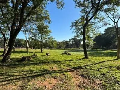 48,319.87m² Lot for Sale in Loma Pytá, Asunción - Image 2