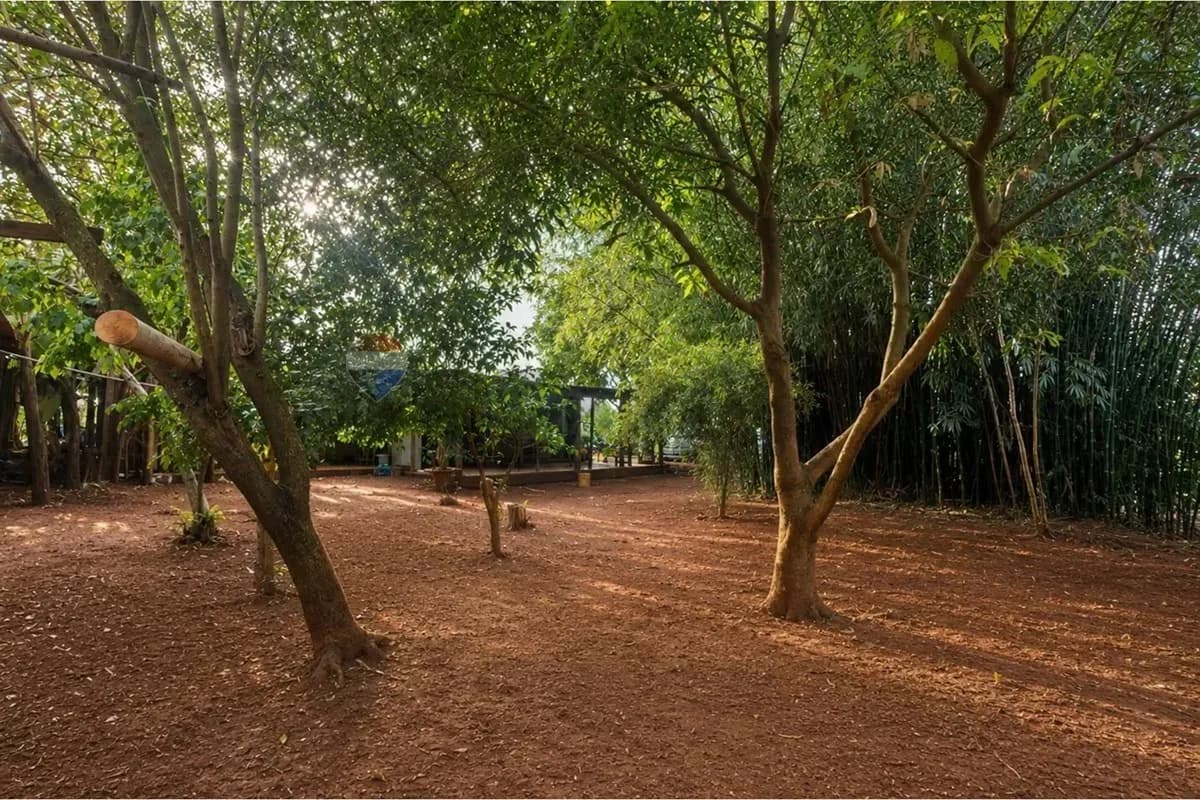 Terreno de 2.180 m² en Venta en San Francisco, Hernandarias - Image 6