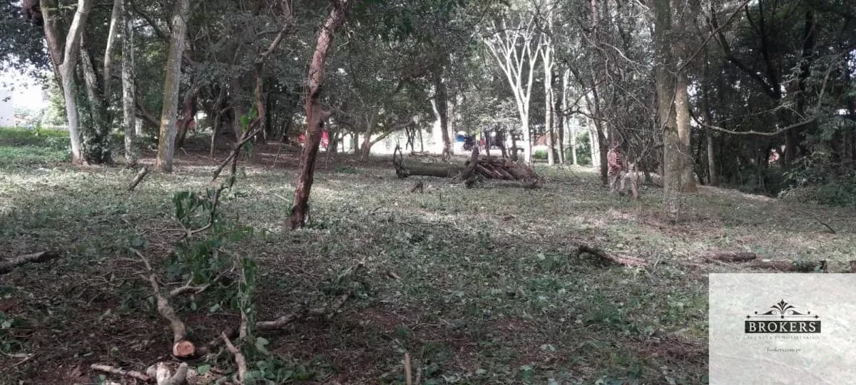 1,600m² Land for Sale in Villa Ygatimí, Villa Ygatimí - Image 5
