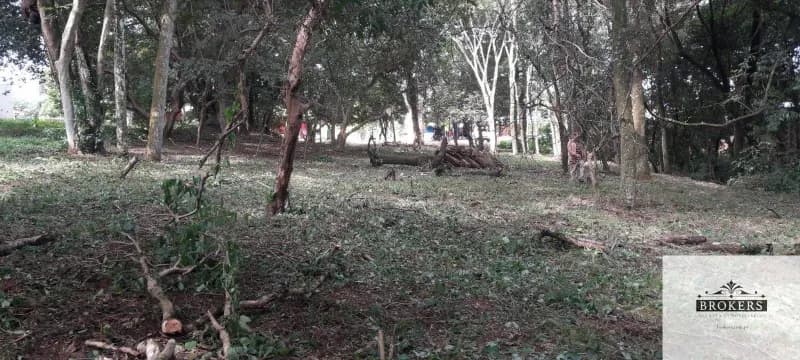 1,600m² Land for Sale in Villa Ygatimí, Villa Ygatimí - Image 5