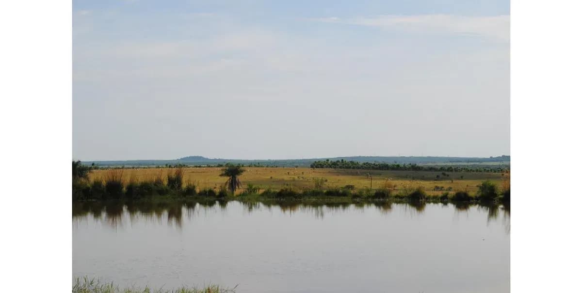 Land for Sale in Nueva Italia - Image 13
