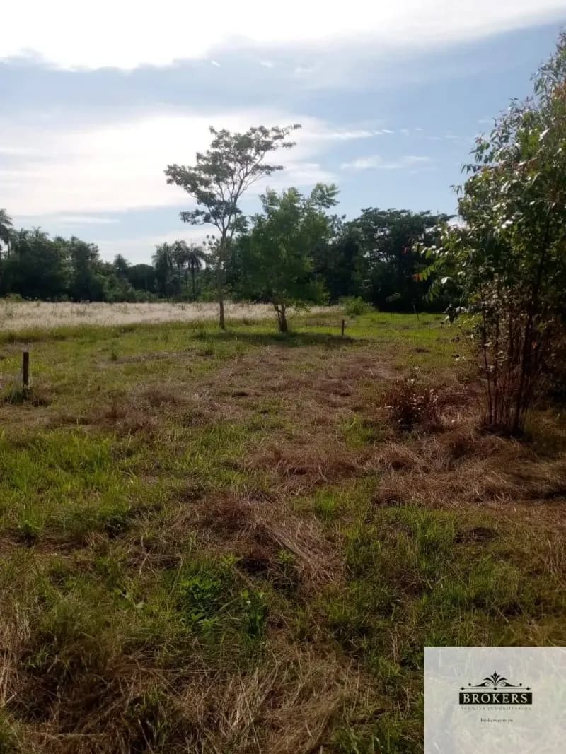 100,000m² Land for Sale in Ypacaraí - Image 5