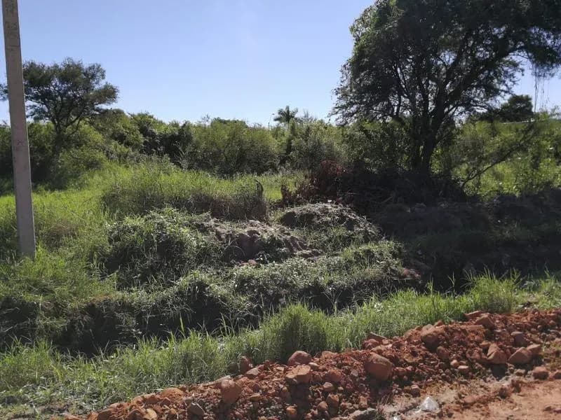 Terreno de 6.63m² en Venta en Limpio - Image 6