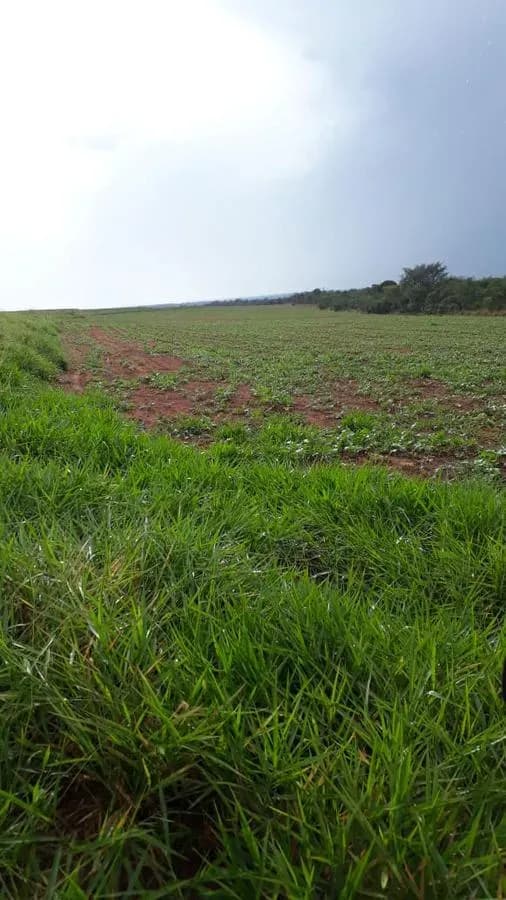 Terreno de 160m² en Venta en Yasy Cañy - Image 19