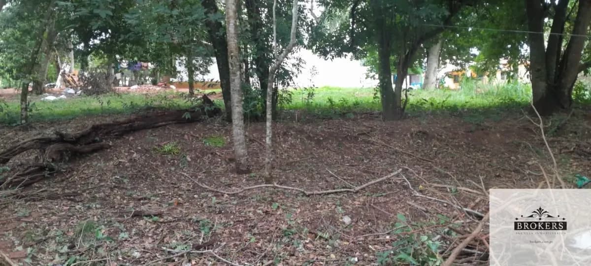 1,600m² Land for Sale in Villa Ygatimí, Villa Ygatimí - Image 9