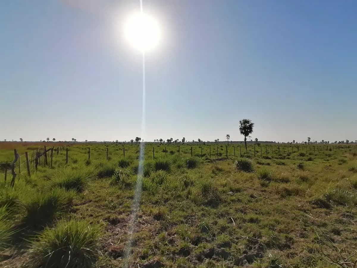 262m² Lot for Sale in Nueva Italia - Image 2
