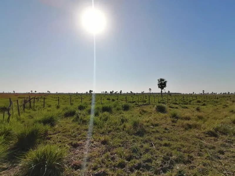 262m² Lot for Sale in Nueva Italia - Image 2