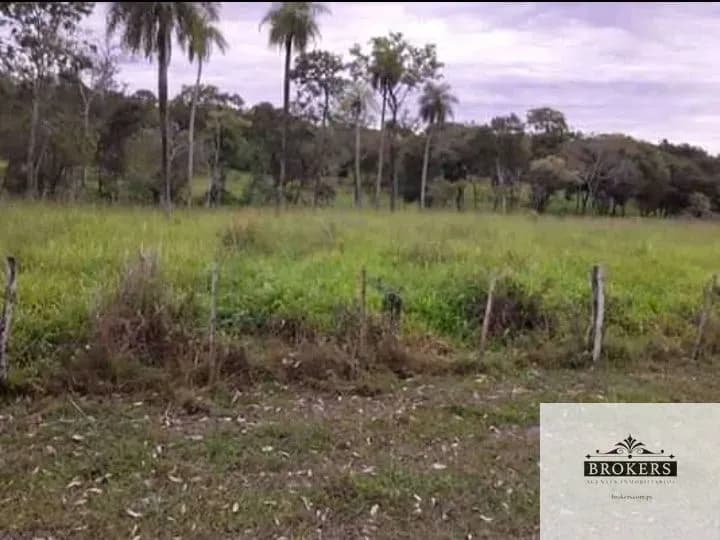 Terreno en Venta en Espíritu Santo, San Juan Bautista - Image 14
