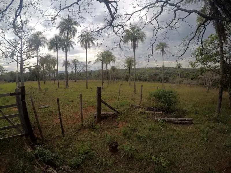 Terreno de 110,000m² en Venta en Caacupé - Image 17