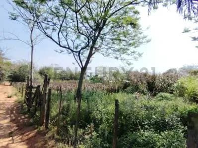 Terreno de 30.000m² à Venda em Ypané - Image 5