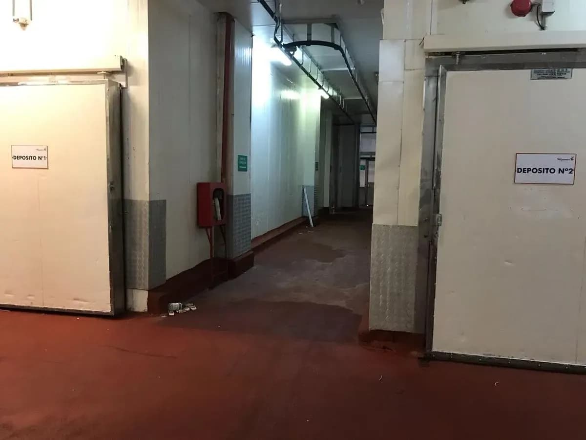 Espaço Comercial para Aluguel em Santa Rosa, Assunção - Image 11