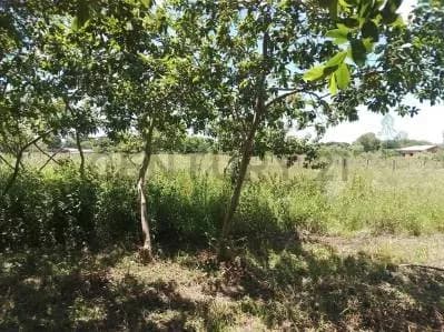 Terreno de 390m² en Venta en Pilar - Image 3