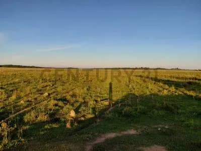 Terreno de 46.5m² à Venda em Coronel Oviedo - Image 4