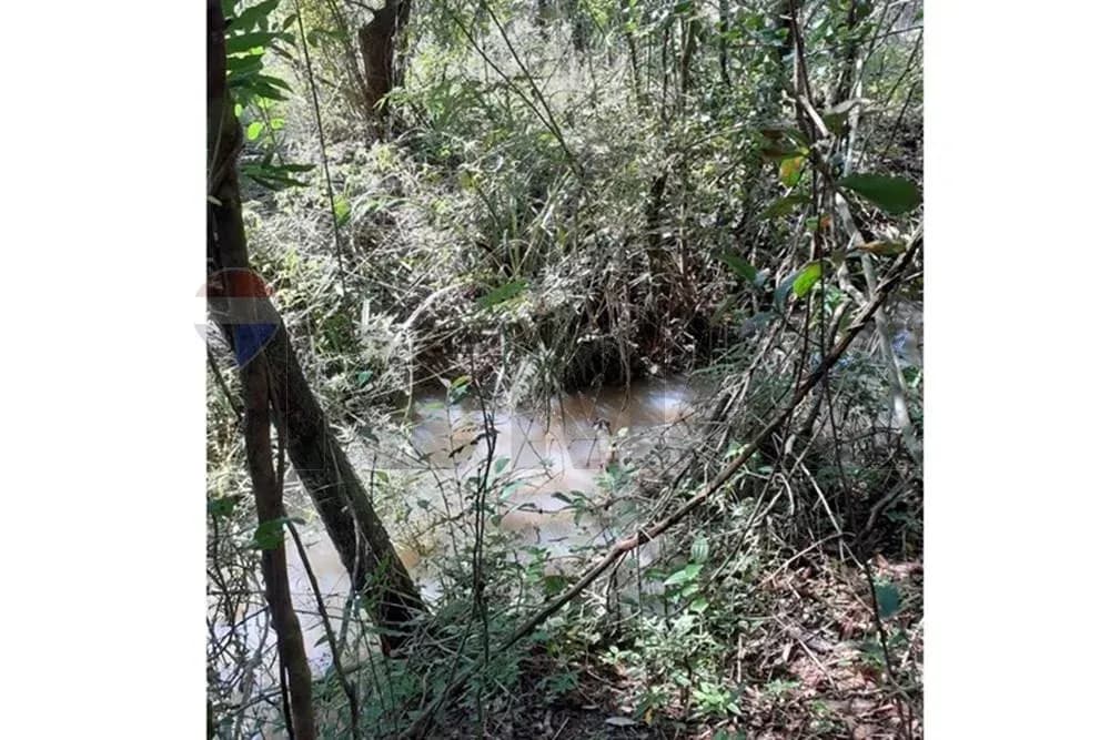 1m² Land for Sale in Mbaracayú, Mbaracayú - Image 7