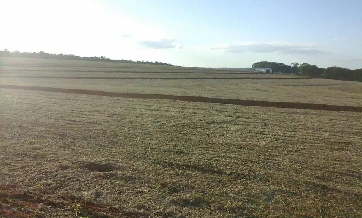 Terreno de 160m² en Venta en Yasy Cañy - Image 2