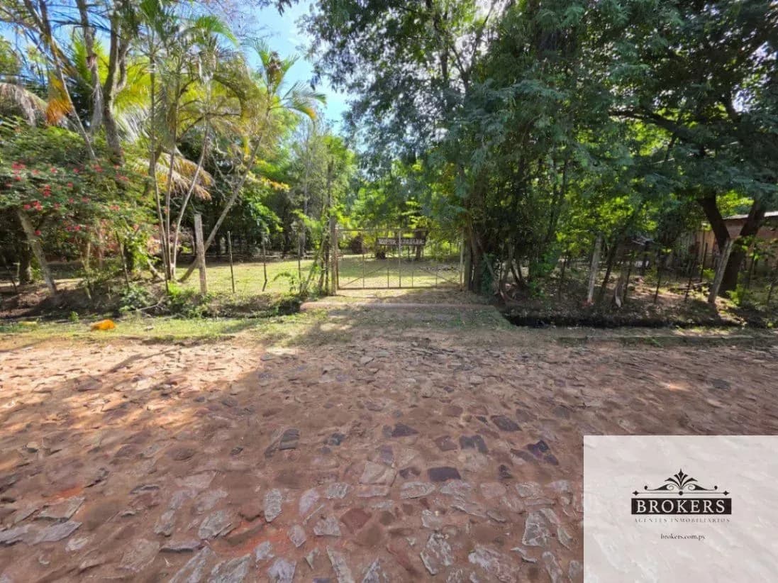 Terreno de 3,200m² en Venta en Limpio - Image 6