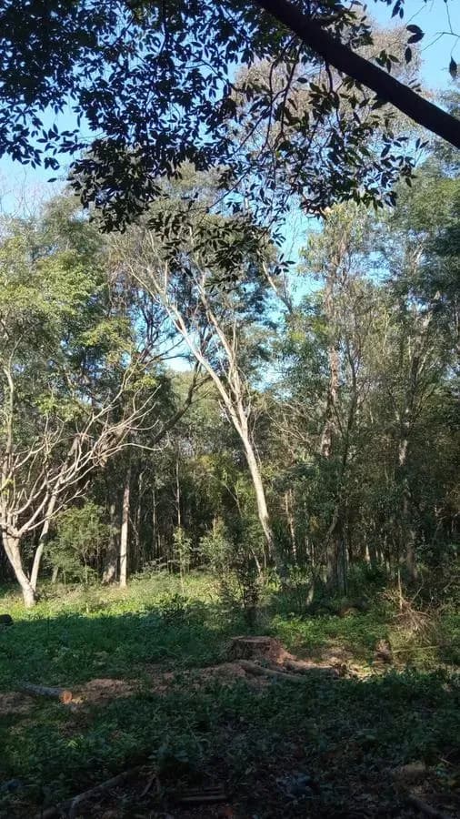 Land for Sale in Centro, Caacupé