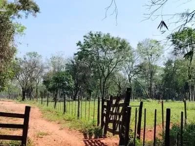 Terreno de 30.000m² à Venda em Ypané - Image 4