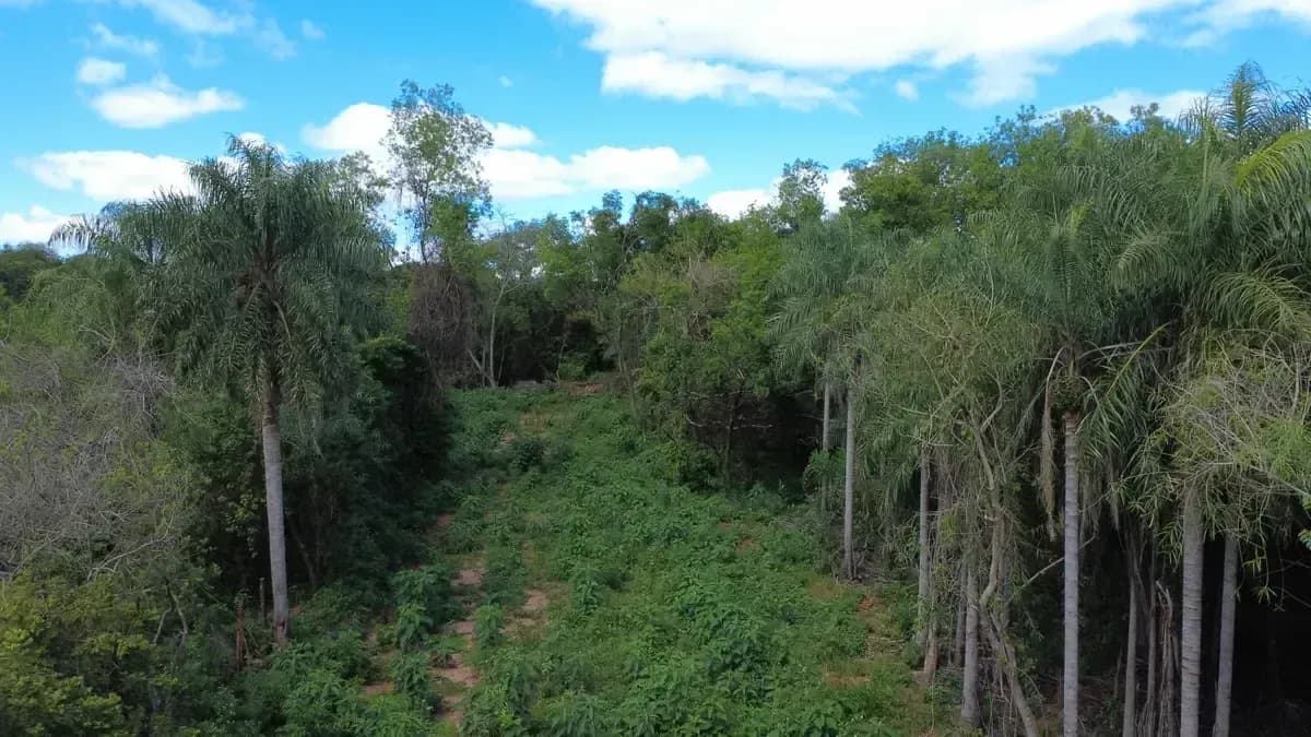 Terreno de 440.000m² à Venda em Caaguazú - Image 7
