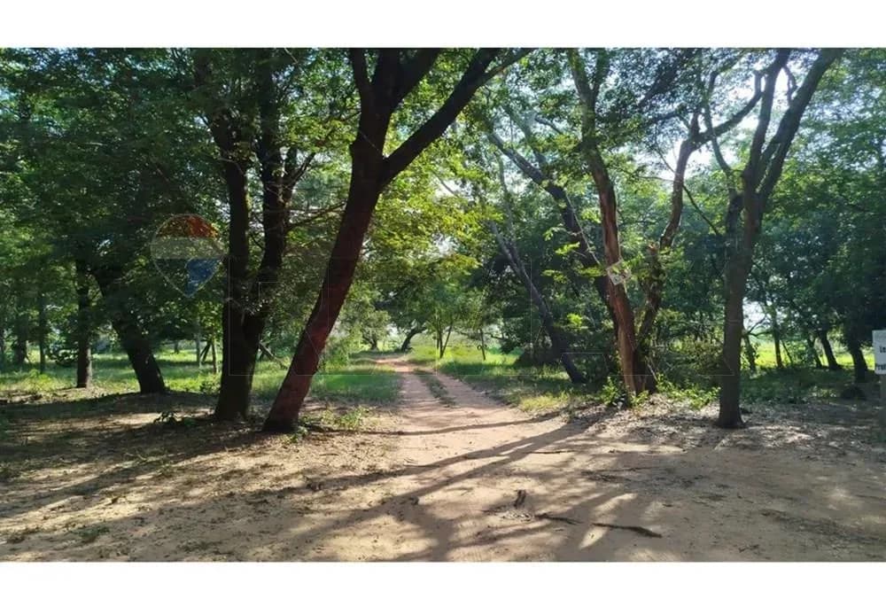 Terreno de 1,334m² en Venta en Estanzuela, Areguá - Image 8