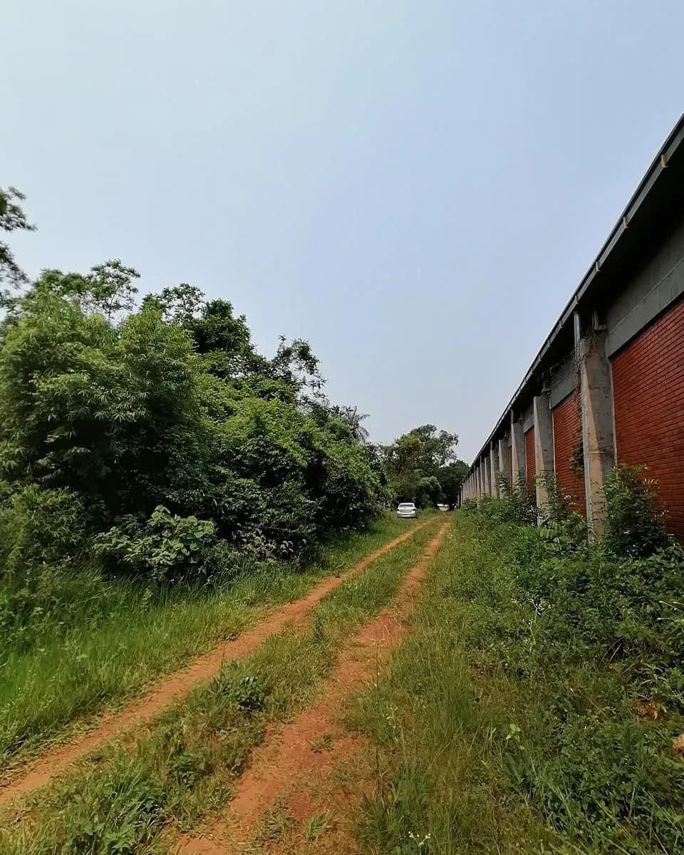 Terreno de 750m² en Venta en ALEX SA (Maquila de Motos), Luque - Image 8