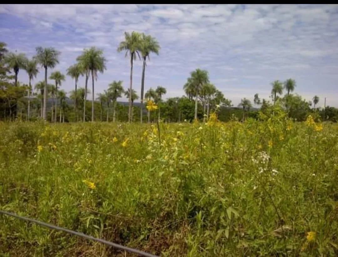 Terreno de 2,160m² en Venta en San Bernardino