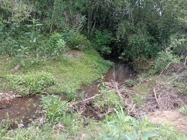 Terreno de 100.000m² à Venda em Caaguazú - Image 5