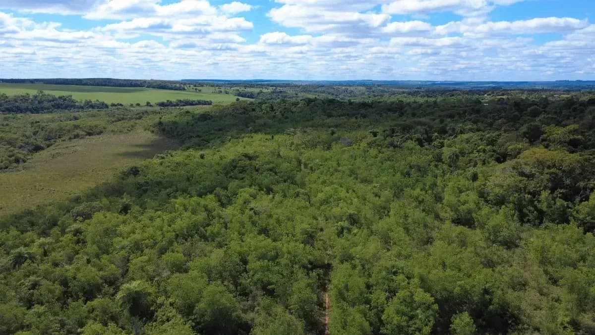 Terreno de 440.000m² à Venda em Caaguazú - Image 6