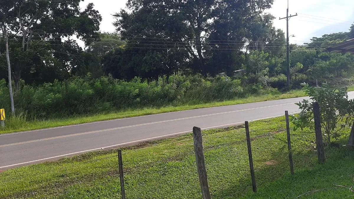 22,697m² Land for Sale in Nueva Italia - Image 3