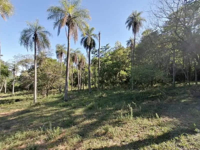 Land for Sale in Caacupé - Image 4